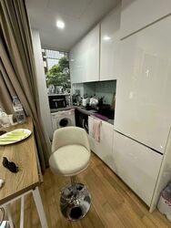 The Peak @ Cairnhill II (D9), Apartment #543490551